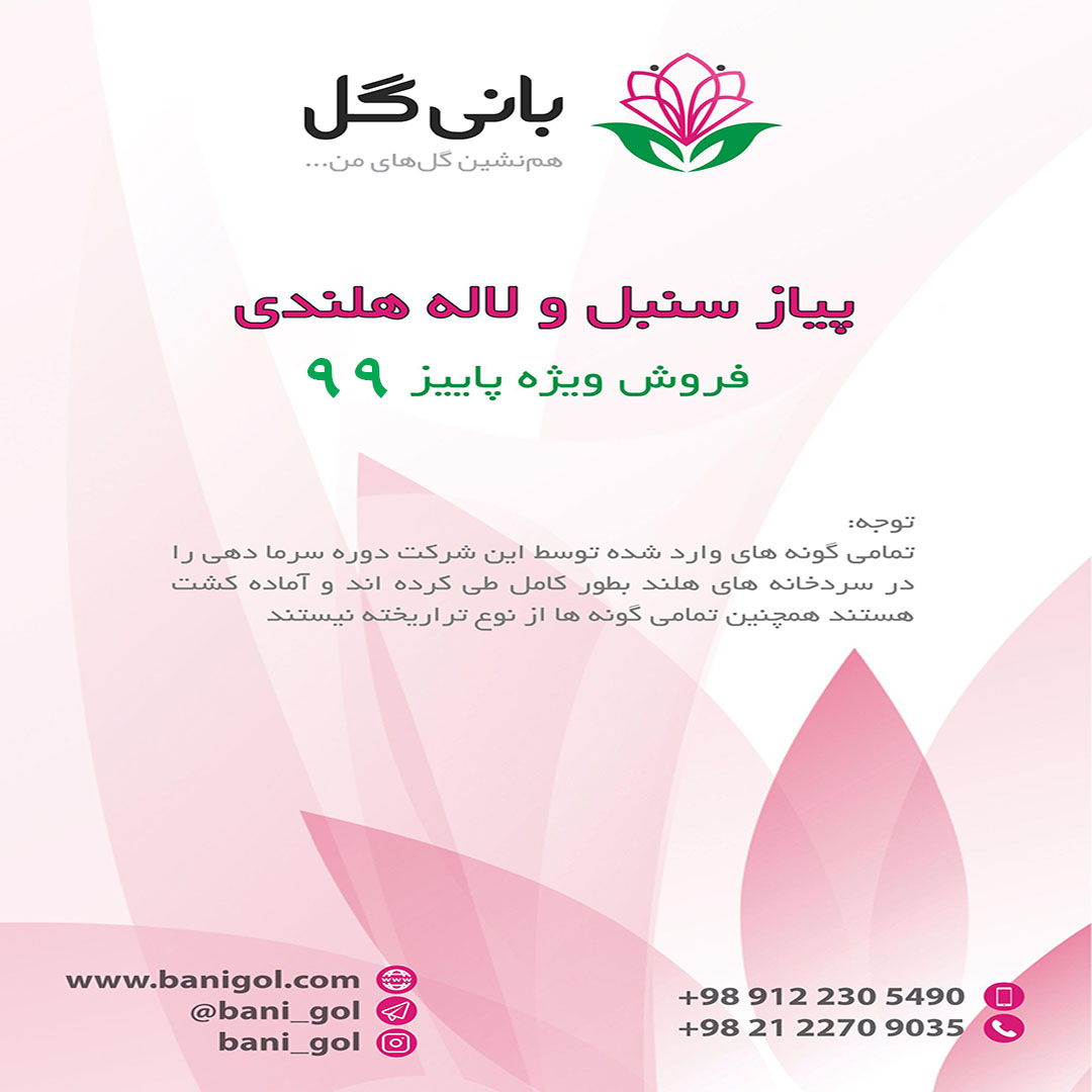 فروش ویژه پیاز لاله - سنبل - نرگس - لیلیوم هلندی